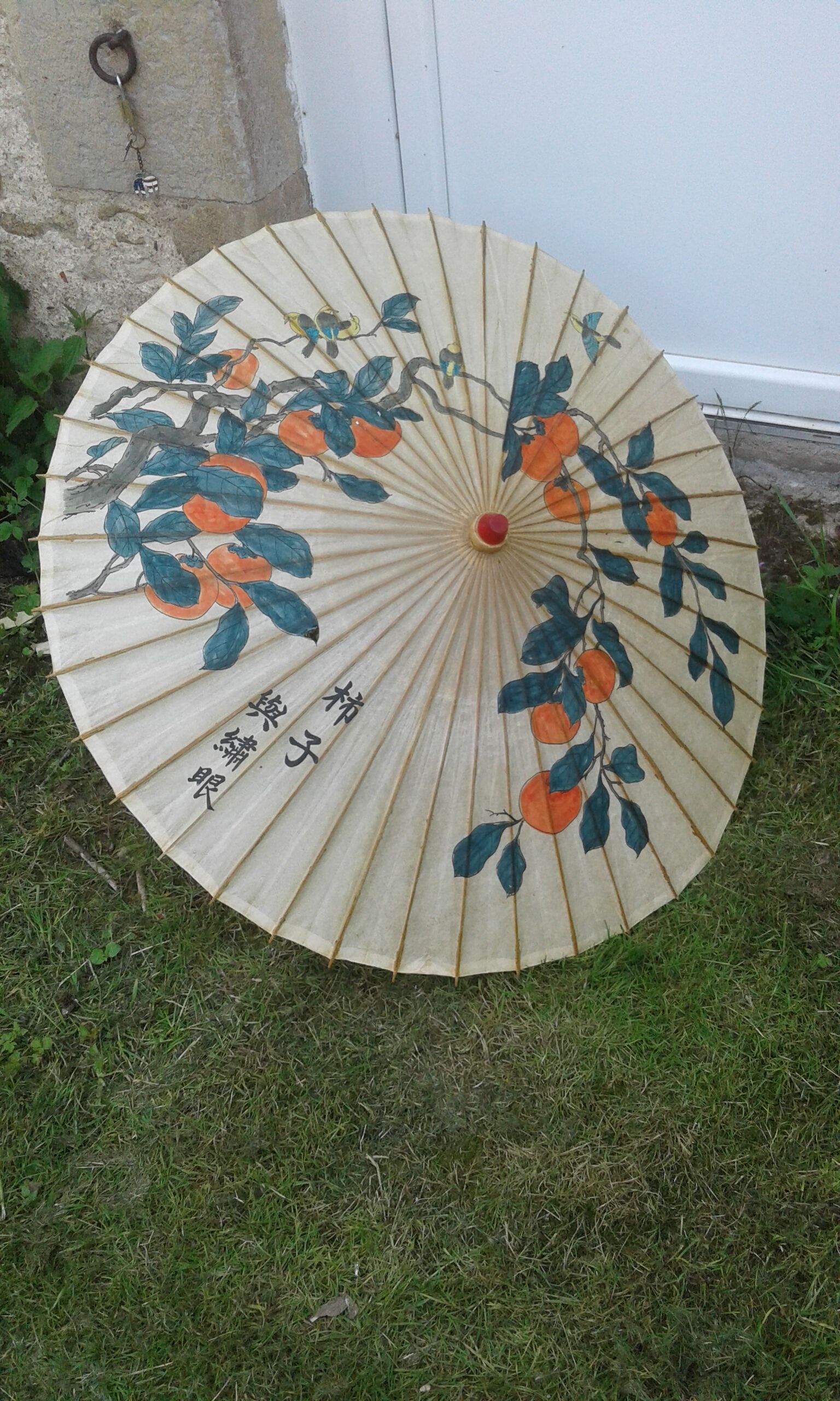 Asian umbrella