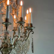 Silver bronze cage chandelier with crystal grapevines circa 1900