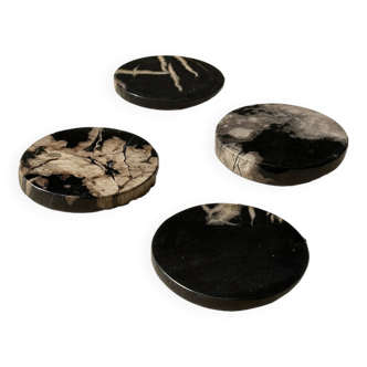 Set of 4 fossilized wood coasters (wide, 2 thick, 2 thin)