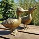 Paire de canards en laiton