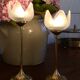 Pair of tulip-shaped candle holders in frosted glass and brass.