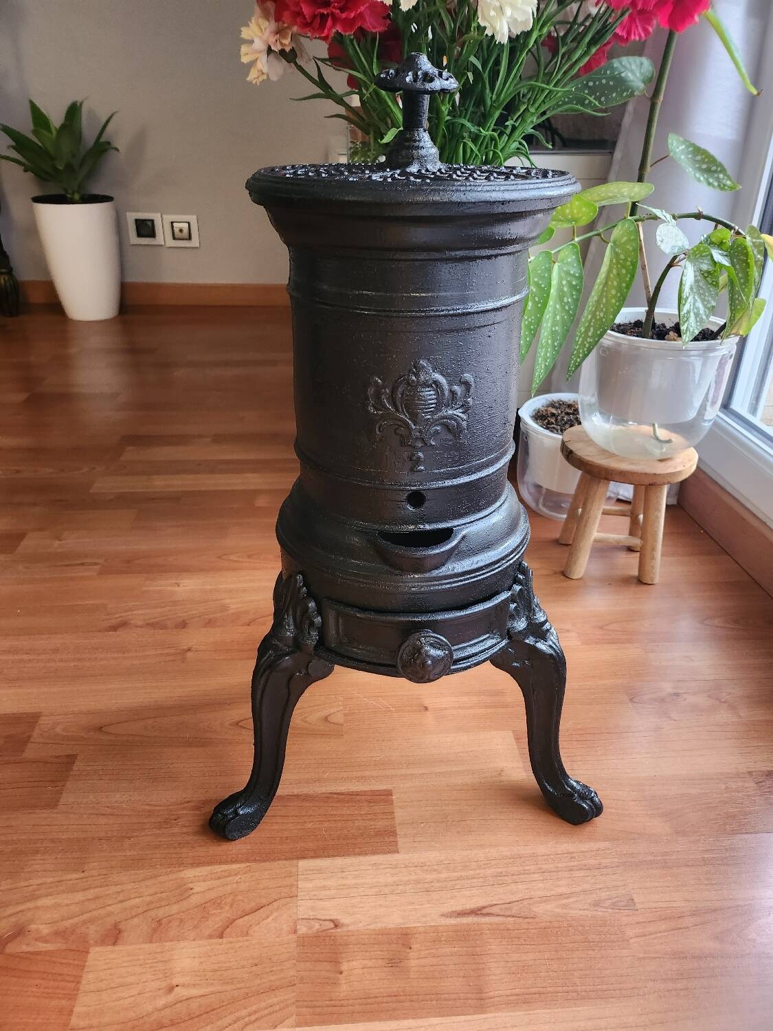 Cast iron wood stove