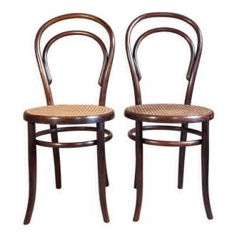 Pair of chair n°14 Fischel 1900 ca