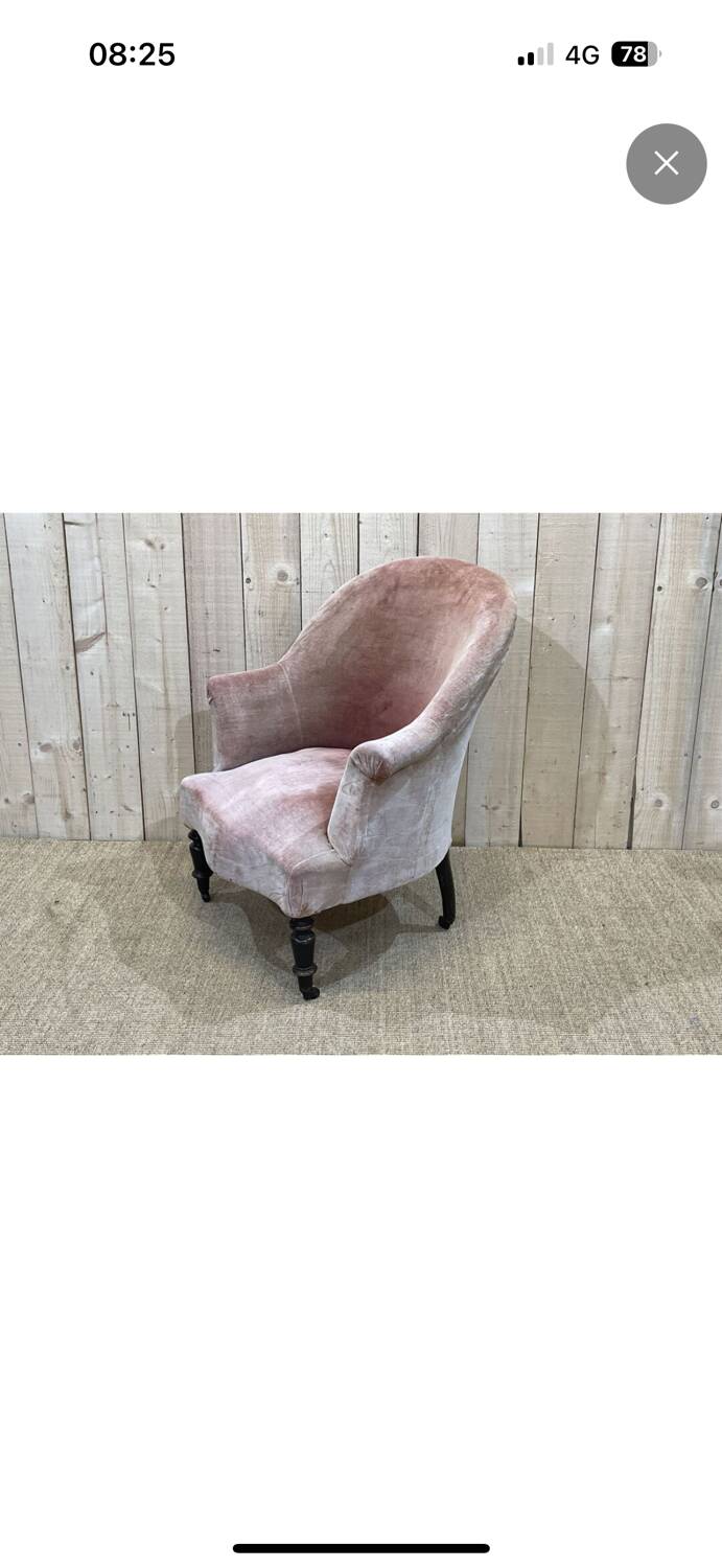 Napoleon III Toad Armchair