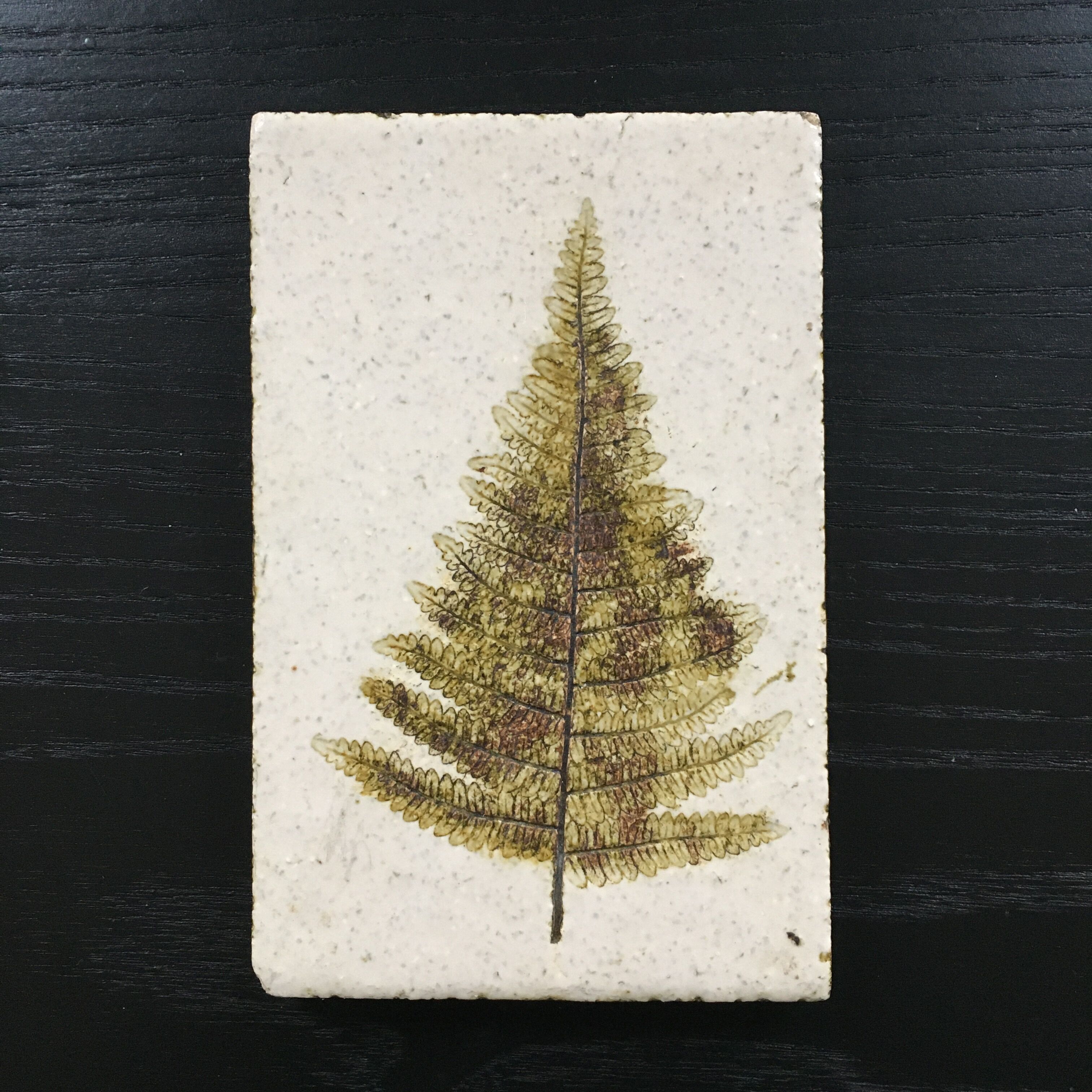 Paper press fern decoration