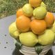 Vintage ceramic barbotine citrus fruit centrepiece
