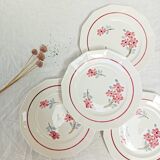 7 flat plates St-Amand Ceranord