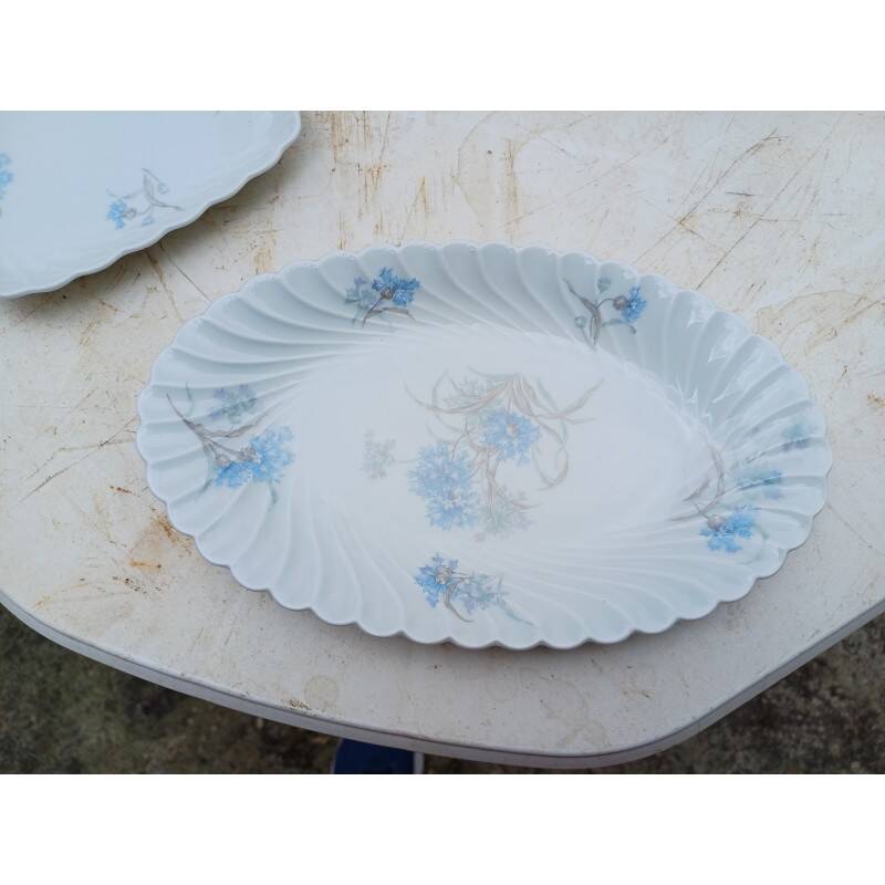 Haviland Limoges porcelain dinnerware set