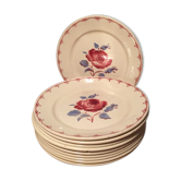 Suite of 10 plates flat "badonviller"