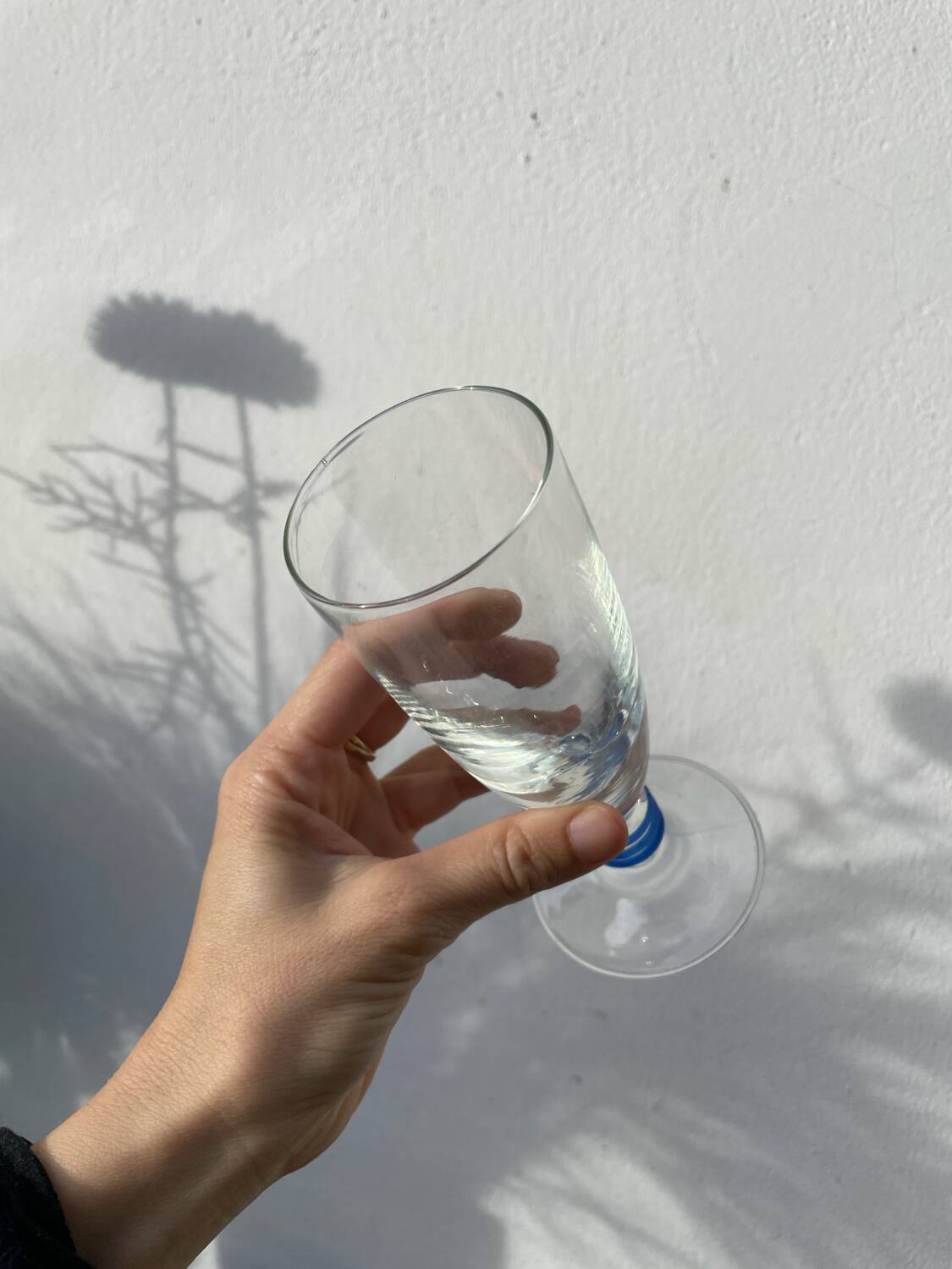 6 clear champagne flutes with blue stems, designer style