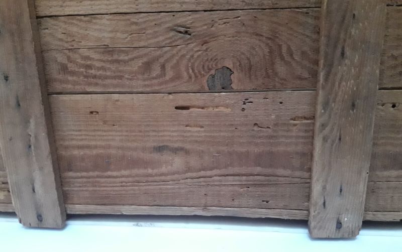 Transport box