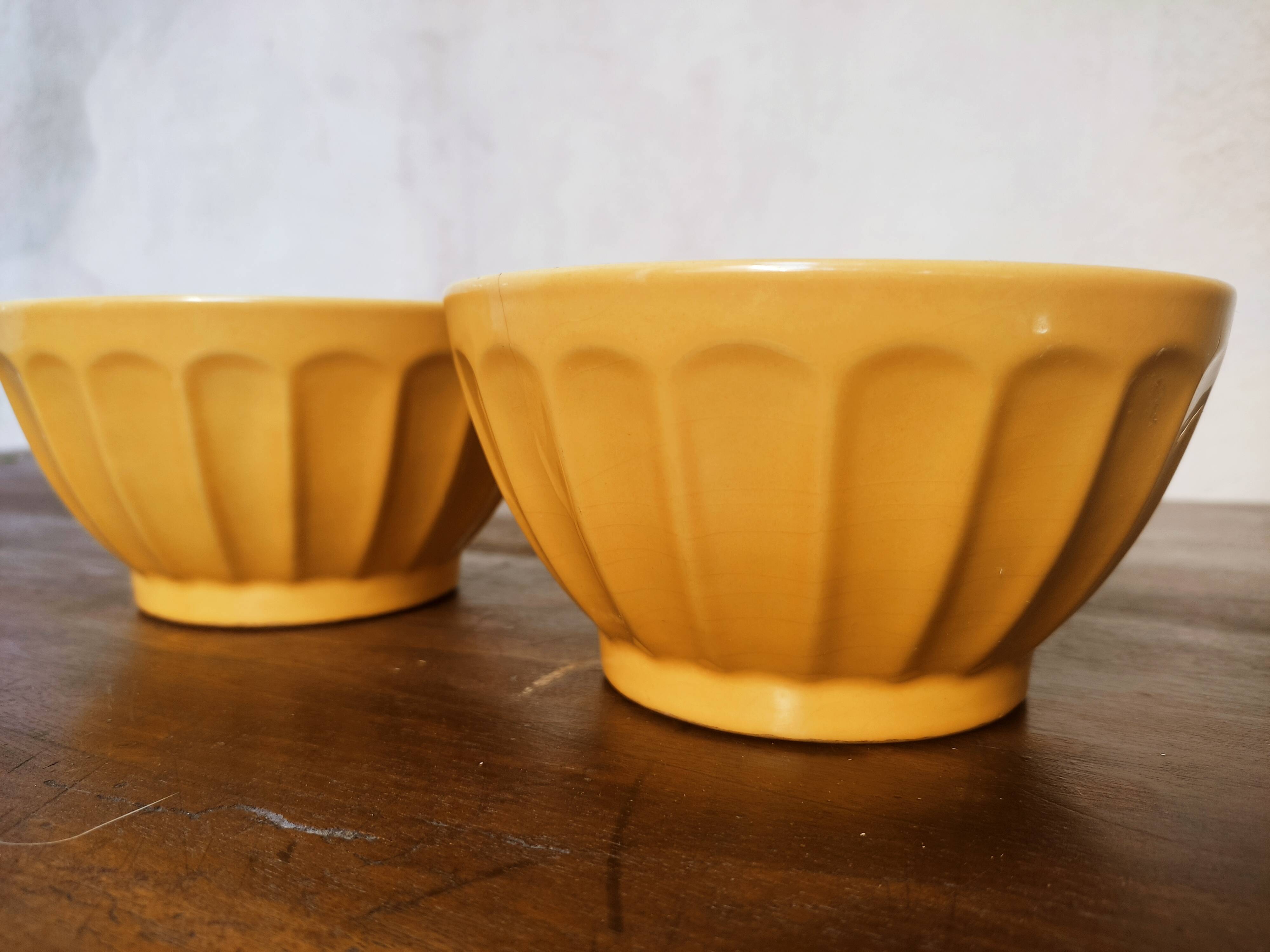 Duo of rib bowls in faience