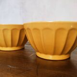 Duo of rib bowls in faience