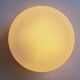 Large Midcentury Flush Mount Milk Glass, RZB Leuchten, Germany, 1970s