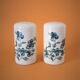 Porcelain salt and pepper shaker
