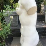 Plaster bust
