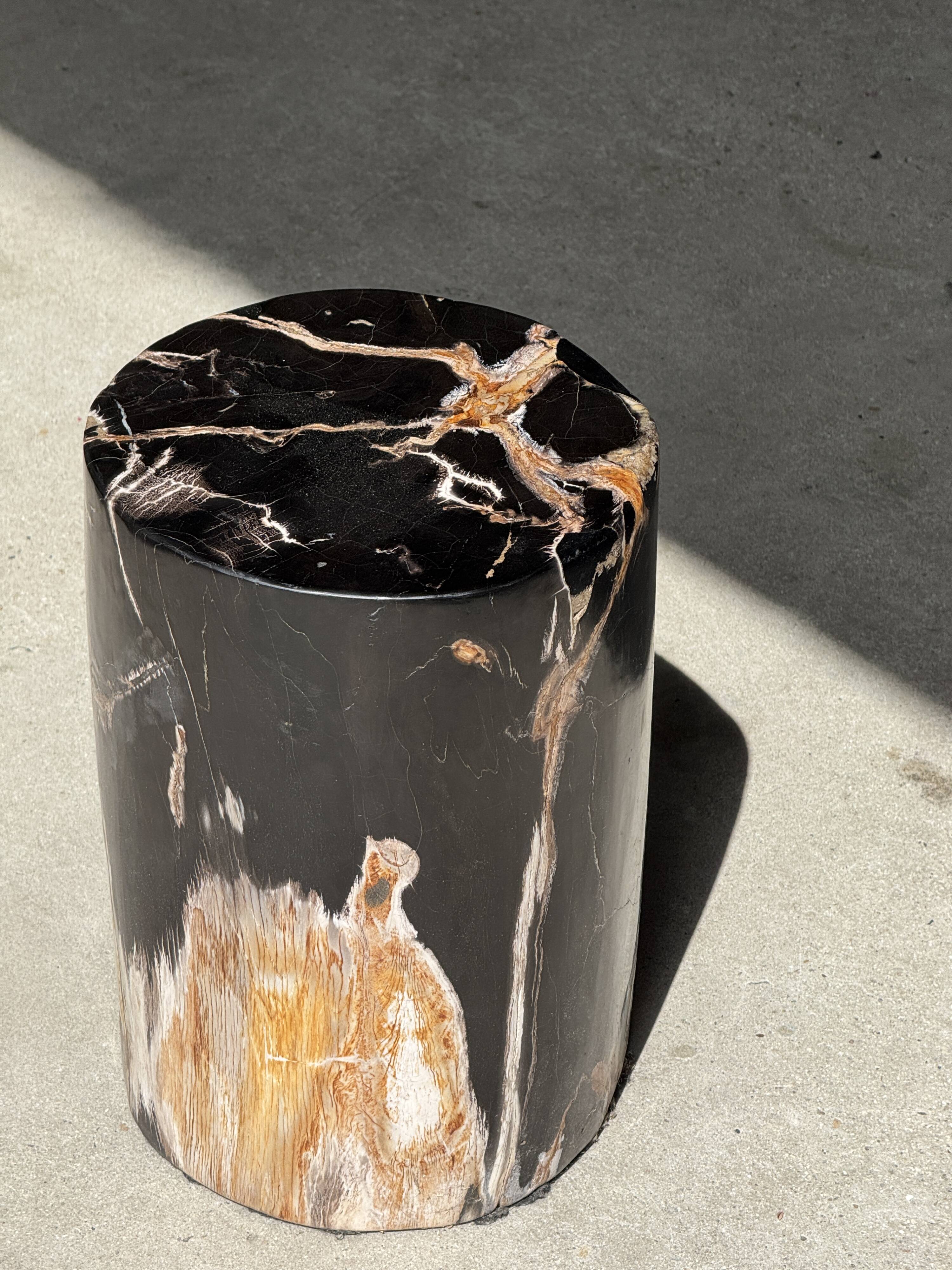 Black petrified wood side table with beige stripes, star pattern H35 D24.