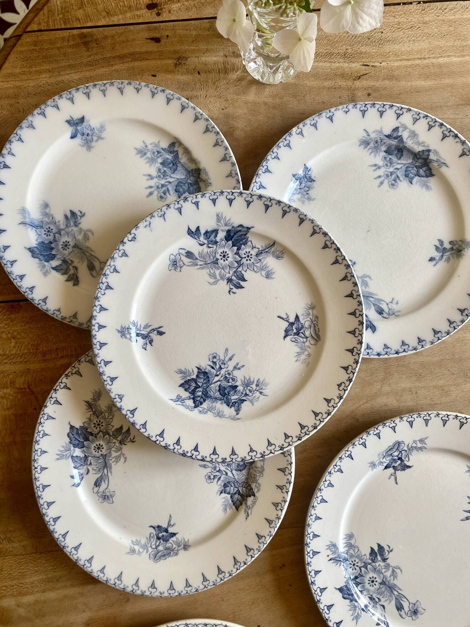 Set of 6 old dessert plates - Flore de Sarreguemines