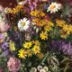 Tableau encadré et signé représentant bouquet de fleurs
