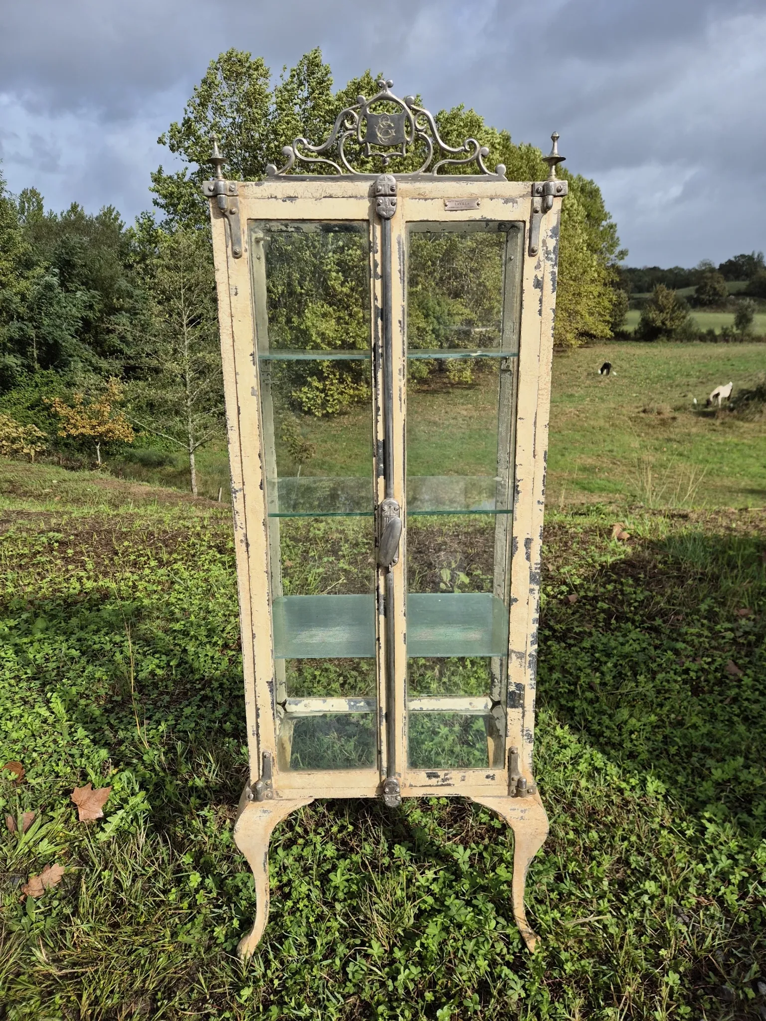 Ancienne vitrine de chirurgien