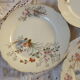 10 porcelain dessert plates xixth century