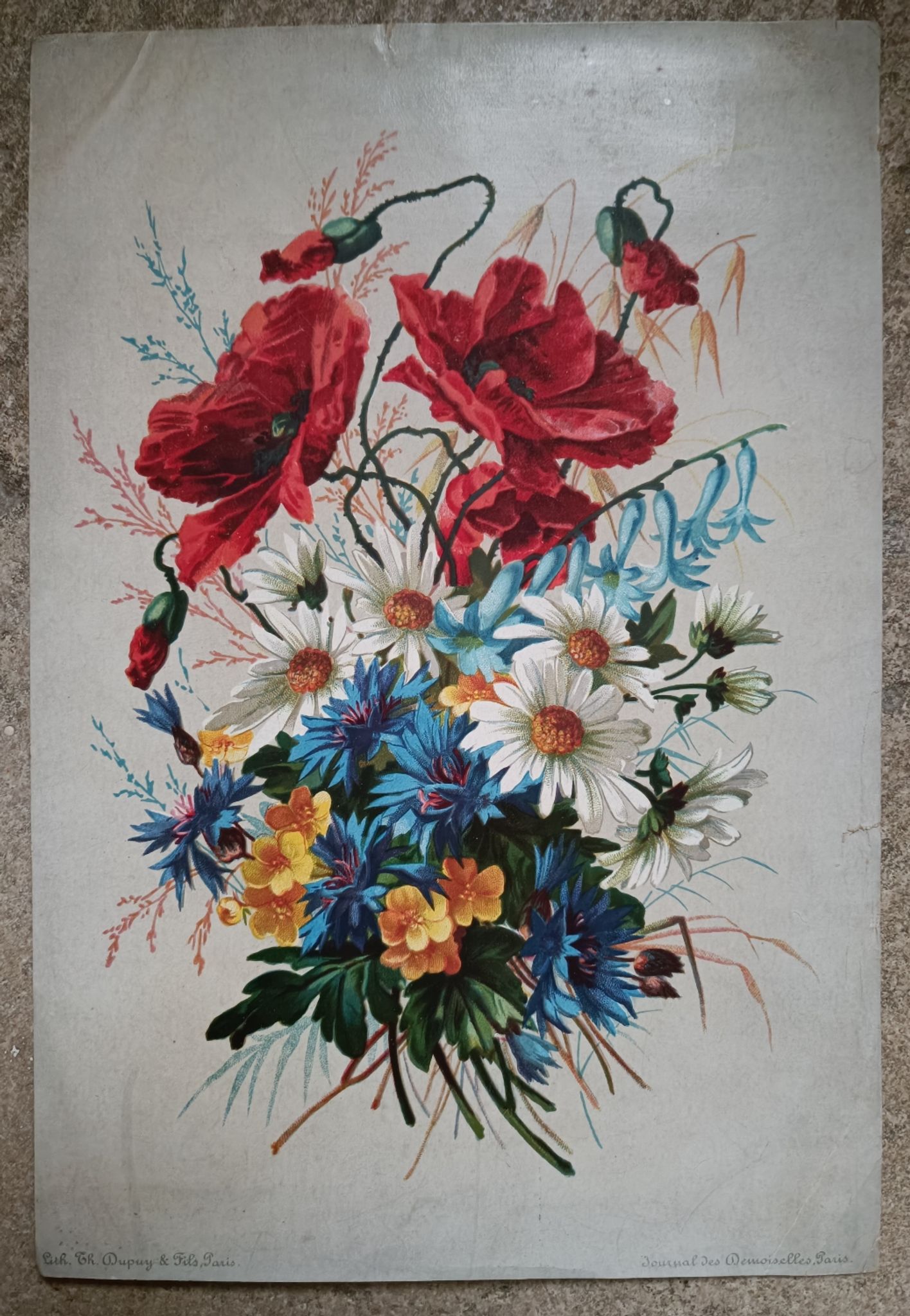 Lithographie bouquet de fleurs des champs tricolore