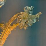 Venetian chandelier in gilded Murano glass, 6 light arms circa 1940