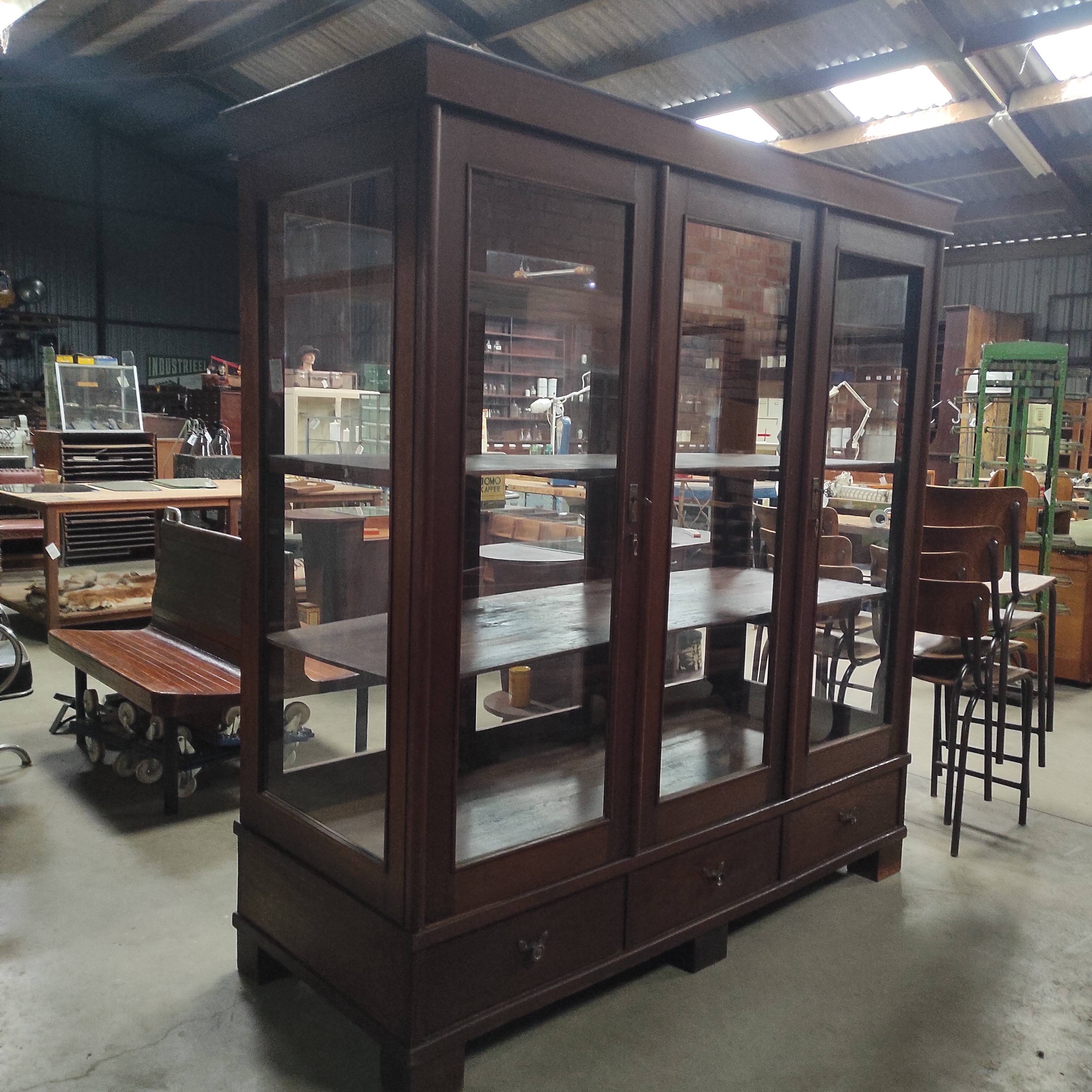 Vitrine de musée 6 tiroirs, vers 1900