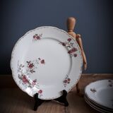 5 flat plates Iron Earth