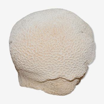Coral white ball diameter 20 cm