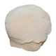 Corail Blanc boule diamètre 20 cm