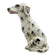 Sculpture Dalmatien, 1960’s, Italy