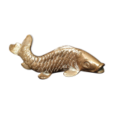 Bronze koi carp fish