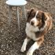 Wooden stool