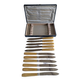 11 vintage knives with their box