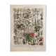 Lithograph on medicinal plants (mistletoe), 1930