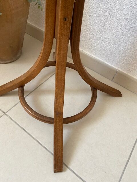 Wooden parrot coat rack