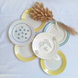 Flat plates Luneville, Céranord, Badonviller