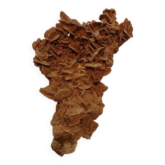 Rose des sables