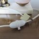 Fawn lamp, doe Art Deco marble white opaline pink and regulates 30/40 years