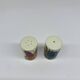 Villeroy And Boch Acapulco, Salt and Pepper Shakers