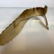 Large worked brass coat hook