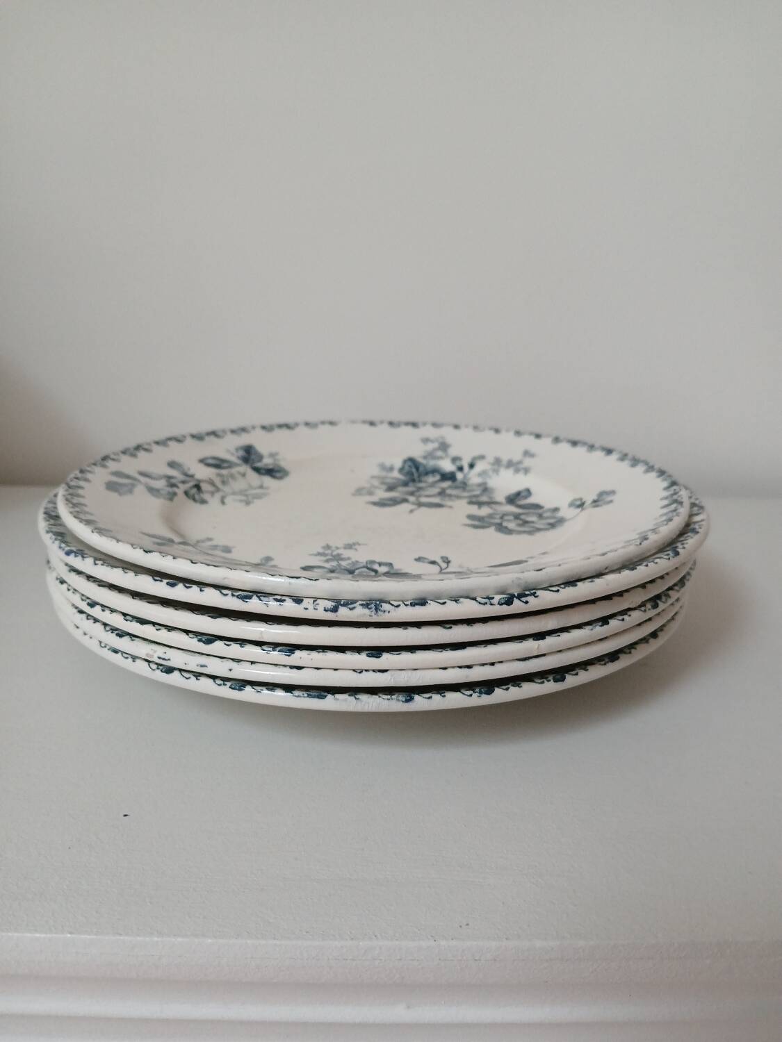 Set of 6 Terre de Fer plates, Acacia model