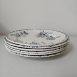 Set of 6 Terre de Fer plates, Acacia model