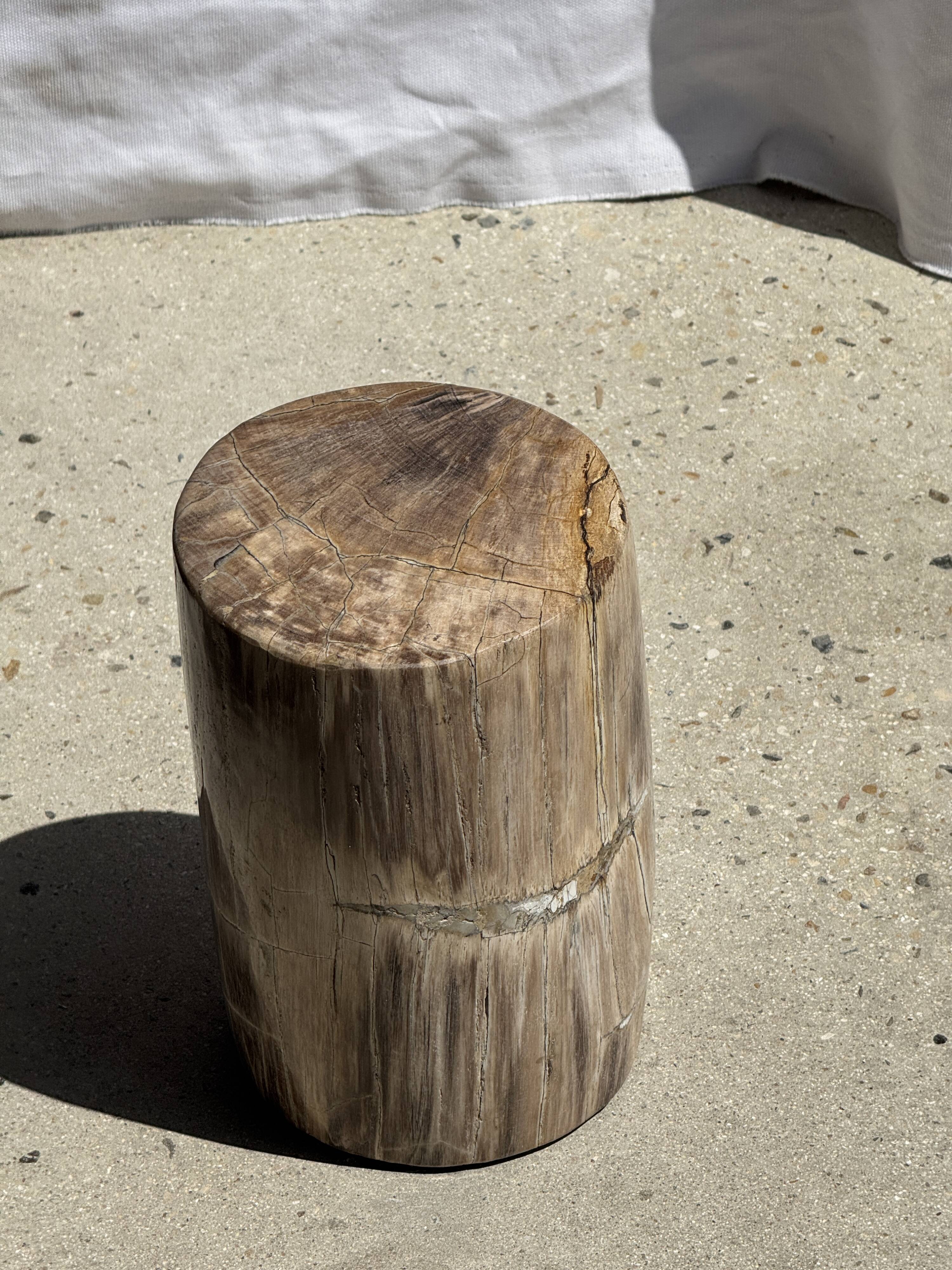 Petite table d'appoint en bois pétrifié beige gris H28 D18 - 3325