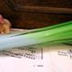 Vase solifleur en verre torsadé de Murano avec effet ombré vert à bleu pâle