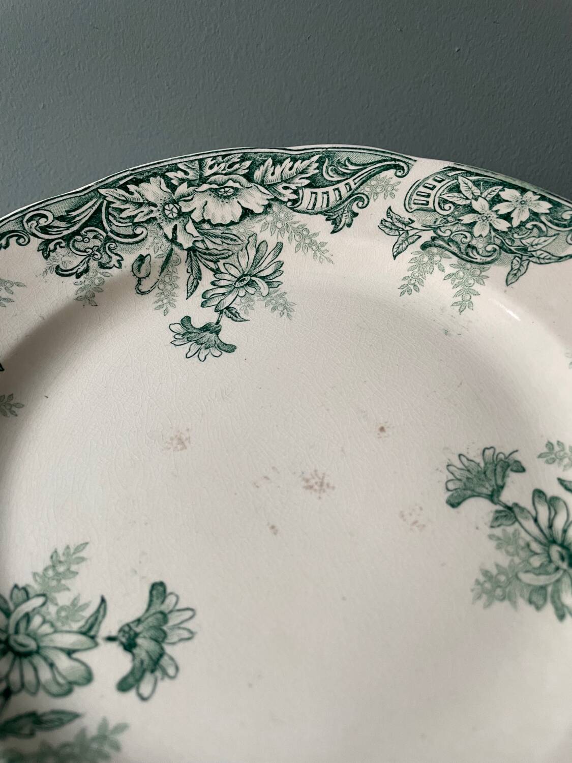Series of 12 Terre de Fer flat plates in Onnaing earthenware, Sylvia model