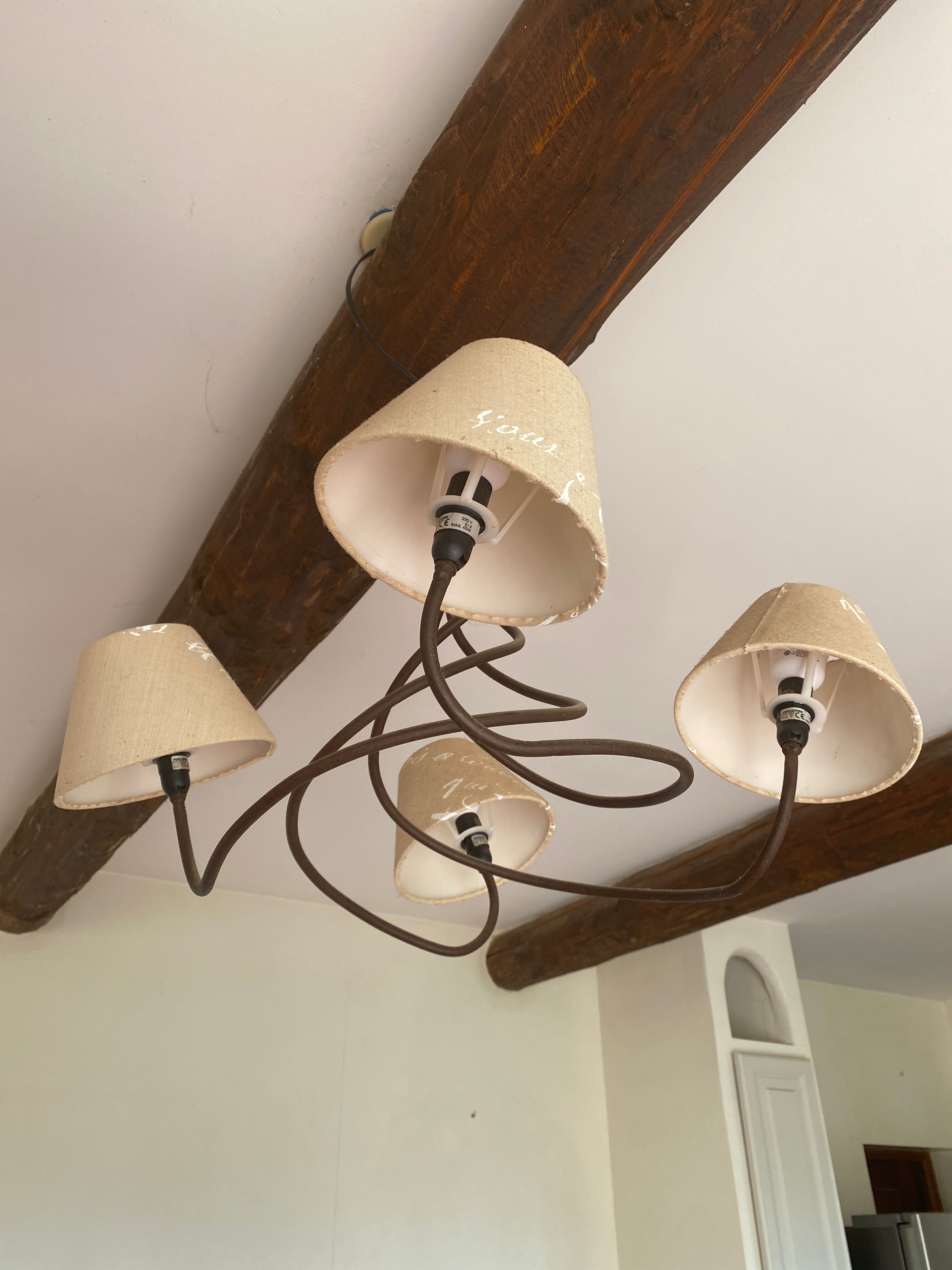 Pescatore chandelier