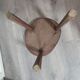 Vintage old wooden stool tripod