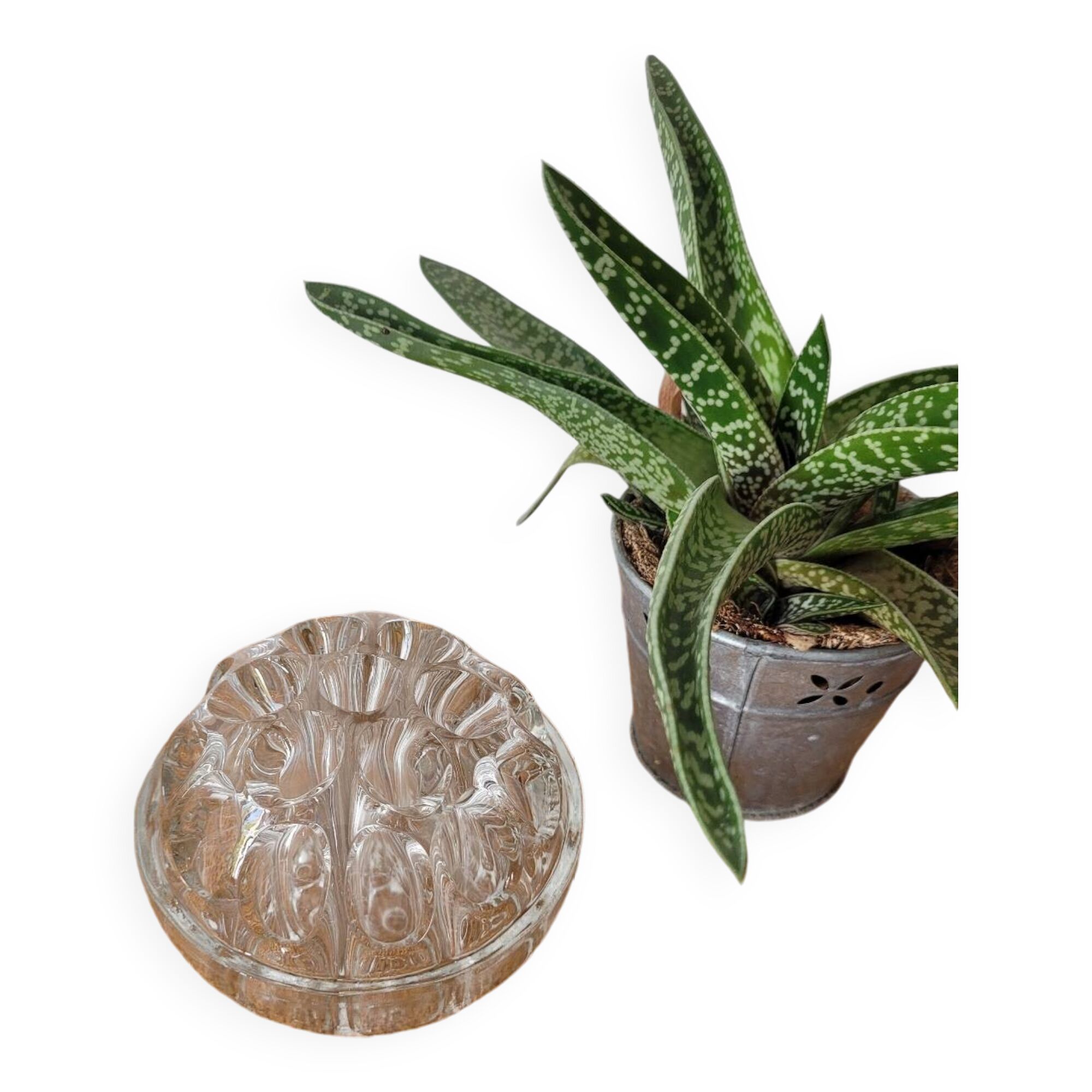 Glass flower vase